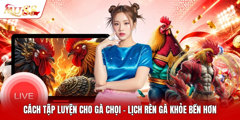 Cách Tập Luyện Cho Gà Chọi - Lịch Rèn Gà Khỏe Bền Hơn